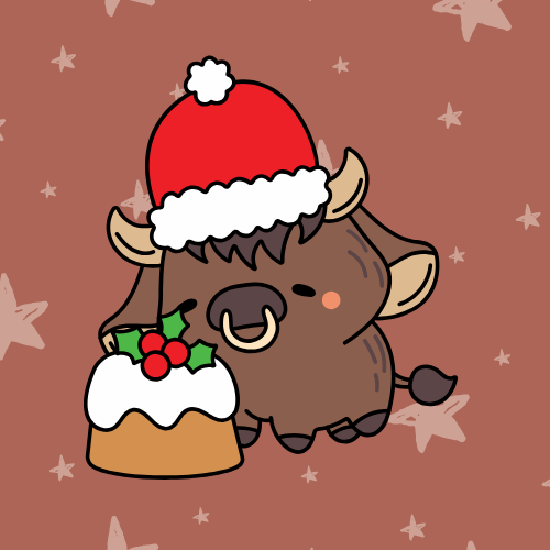 Pack de Noël - 5 Magnets - 50 x 50 mm