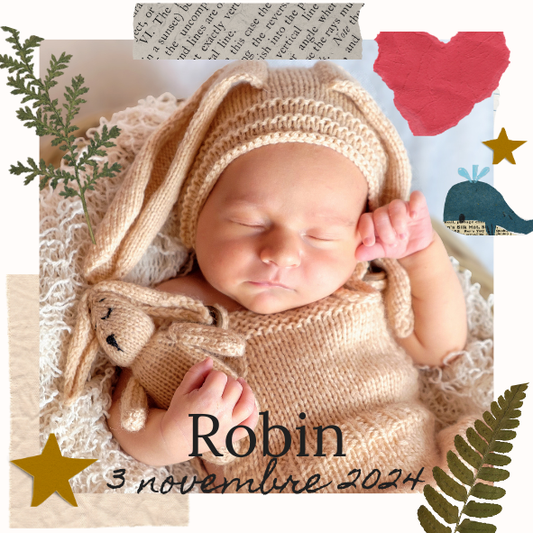 Robin - A partir de 3 magnets